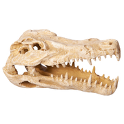 Aqua One Crocodile Skull Ornament