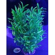 Artificial Plant Green