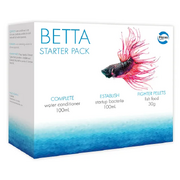 Pisces Betta Starter Pack