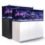 Red Sea Red Sea Reefer G2+ 625 Available in Black or White