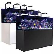 Red Sea Red Sea Reefer G2+ 750 Deluxe (Includes 4x Lights) Available in Black or White