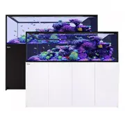 Red Sea Reefer G2+ Peninsula S-950