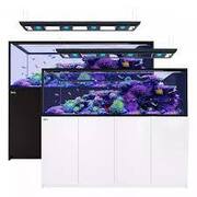 Red Sea Reefer Peninsula S-950 G2+ Deluxe (Includes 3x ReefLED 160 & Pendant